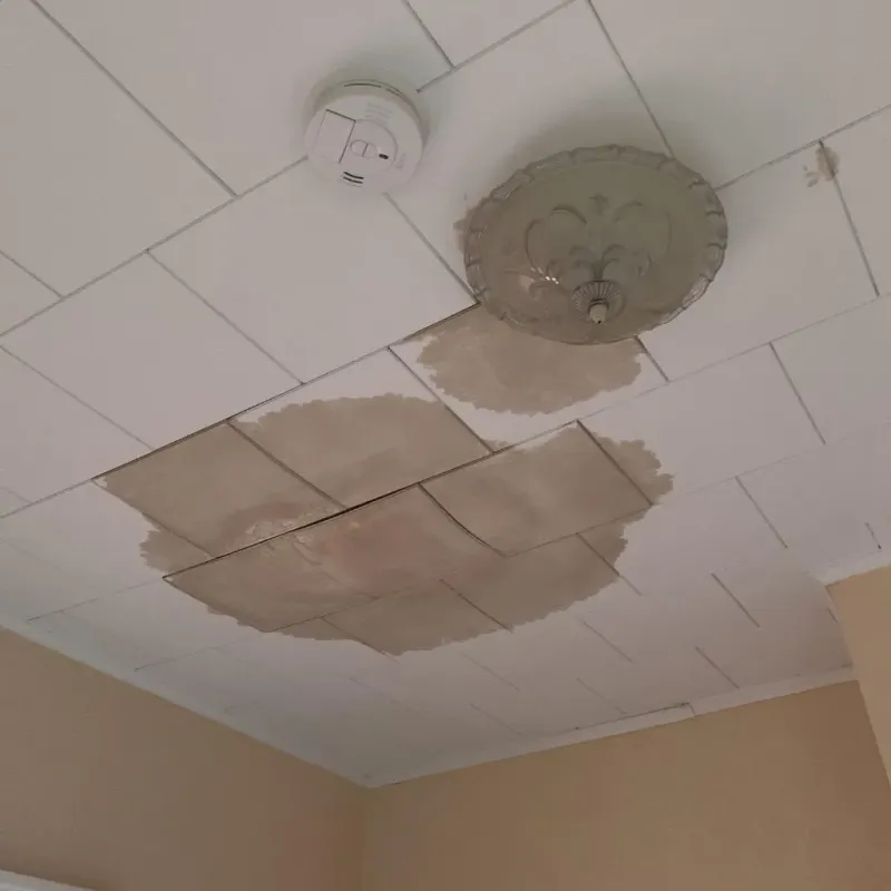 Ceiling Water Damage Repair in East Bridgewater, MA