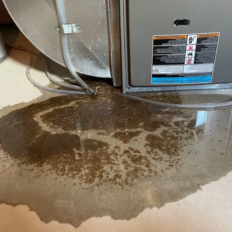 Pipe Burst and Leak Restoration in East Bridgewater, MA
